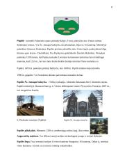 Kelionės organizavimas: Ventos regioninis parkas 7 puslapis