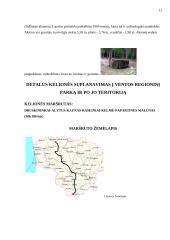 Kelionės organizavimas: Ventos regioninis parkas 10 puslapis