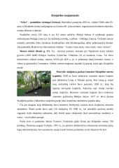 Klaipėdos herbas, rajonai bei jūra 8 puslapis