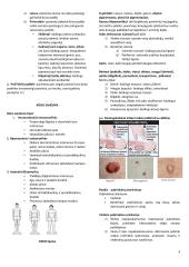 Klinikinė medicina: įvadas ir karščiavimas 3 puslapis