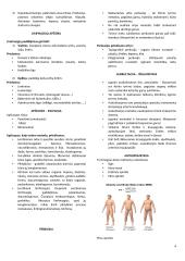 Klinikinė medicina: įvadas ir karščiavimas 4 puslapis