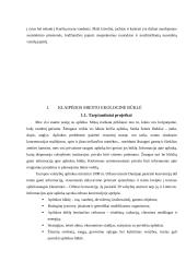 Klaipėdos miesto ekologinė būklė 2 puslapis