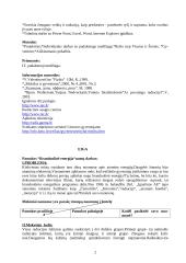 Kultūros „radiacija“ ir radiacijos „kultūra“ 2 puslapis