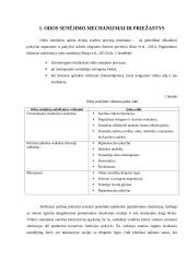 Kosmetinio veido masažo nauda odos senėjimo procese 5 puslapis