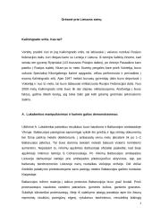 Kaliningrado sritis. Iššūkiai Lietuvos saugumui 4 puslapis