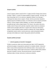 Kaliningrado sritis. Iššūkiai Lietuvos saugumui 6 puslapis