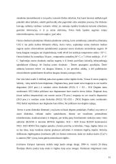 Klimato kaita 13 puslapis