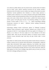 Klimato kaita 15 puslapis