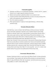 Klimato kaita 4 puslapis