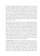 Klimato kaita 9 puslapis