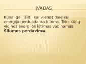 Šilumos perdavimas gyvenamojoje aplinkoje 2 puslapis