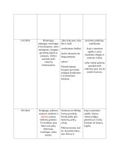 K. Donelaičio epinės poemos „Metai“ veikėjai 2 puslapis