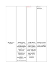 K. Donelaičio epinės poemos „Metai“ veikėjai 4 puslapis