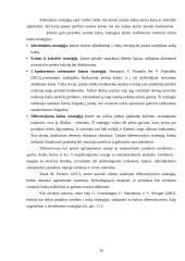 Inovatyvių baldų įvedimo galimybės į Lietuvos rinką 17 puslapis