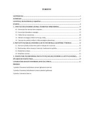 Inovatyvių baldų įvedimo galimybės į Lietuvos rinką 5 puslapis