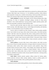 Inovatyvių baldų įvedimo galimybės į Lietuvos rinką 9 puslapis