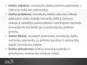 Inovatyvių baldų įvedimo galimybės į Lietuvos rinką (skaidrės) 2 puslapis