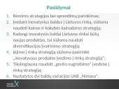 Inovatyvių baldų įvedimo galimybės į Lietuvos rinką (skaidrės) 11 puslapis
