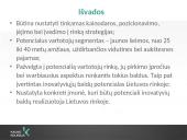 Inovatyvių baldų įvedimo galimybės į Lietuvos rinką (skaidrės) 10 puslapis