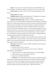 Knygos elemetai 2 puslapis