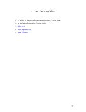 Kompiuterizuotos darbo vietos ergonomika 20 puslapis