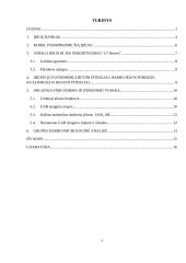 Verslo idėjos paieška ir jos įgyvendinimas 2 puslapis