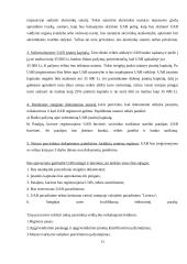 Verslo idėjos paieška ir jos įgyvendinimas 11 puslapis