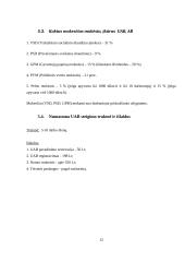 Verslo idėjos paieška ir jos įgyvendinimas 12 puslapis