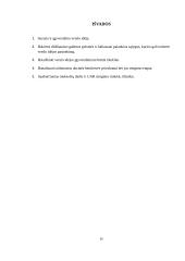 Verslo idėjos paieška ir jos įgyvendinimas 15 puslapis