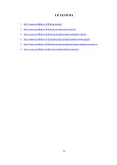 Verslo idėjos paieška ir jos įgyvendinimas 16 puslapis