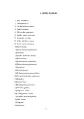 Verslo idėjos paieška ir jos įgyvendinimas 4 puslapis