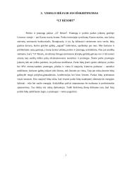 Verslo idėjos paieška ir jos įgyvendinimas 7 puslapis