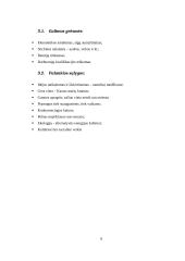 Verslo idėjos paieška ir jos įgyvendinimas 8 puslapis