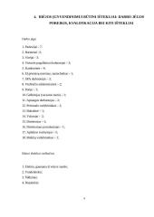 Verslo idėjos paieška ir jos įgyvendinimas 9 puslapis