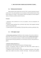 Verslo idėjos paieška ir jos įgyvendinimas 10 puslapis