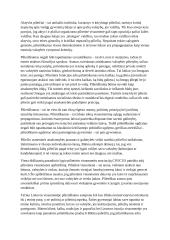 Pilietinės visuomenės samprata ir esmė 2 puslapis