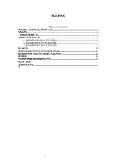 Įvadinės informacijos struktūrų praktika 3 puslapis