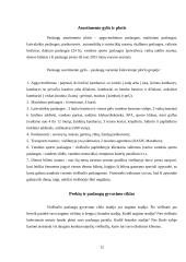 Profesinė praktika Lindo Imperial Hotel and Spa 12 puslapis