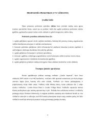 Profesinė praktika Lindo Imperial Hotel and Spa 4 puslapis