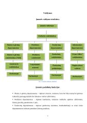 Profesinė praktika Lindo Imperial Hotel and Spa 7 puslapis