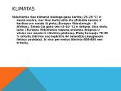 Krūmynų gyvūnija ir augalija 3 puslapis