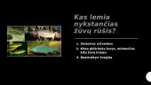 Nykstančios žuvų rūšys 2 puslapis