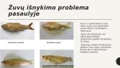 Nykstančios žuvų rūšys 8 puslapis
