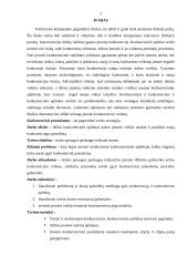 Konkurencinės aplinkos įtaka verslui: apsaugos paslaugos UAB "Septyni užraktai" 2 puslapis