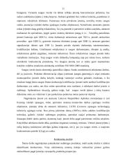 Konkurencinės aplinkos įtaka verslui: apsaugos paslaugos UAB "Septyni užraktai" 11 puslapis