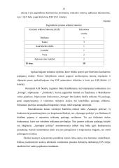 Konkurencinės aplinkos įtaka verslui: apsaugos paslaugos UAB "Septyni užraktai" 13 puslapis