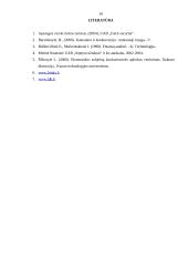 Konkurencinės aplinkos įtaka verslui: apsaugos paslaugos UAB "Septyni užraktai" 16 puslapis