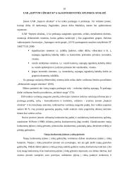 Konkurencinės aplinkos įtaka verslui: apsaugos paslaugos UAB "Septyni užraktai" 10 puslapis