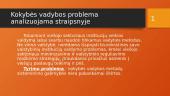 Sisteminis viešojo sektoriaus institucijų veiklos valdymo tobulinimas taikant kokybės vadybos metodus  2 puslapis