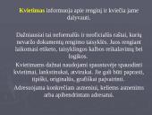 Raštų rengimas 20 puslapis